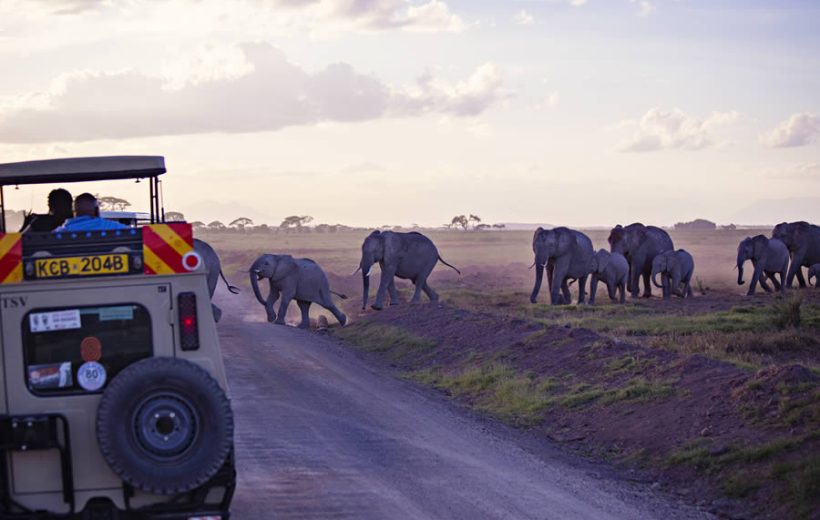 Days Masai Mara Group Joining Safari Packages Best Kenya Tours