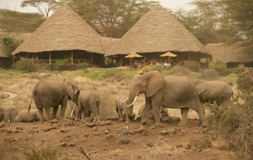 8 Days Amboseli, Samburu & Masai Mara Premium Safari