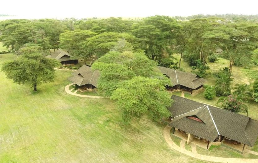 4 Days Amboseli Ol Tukai Lodge Christmas Safaris | Group Joining Packages