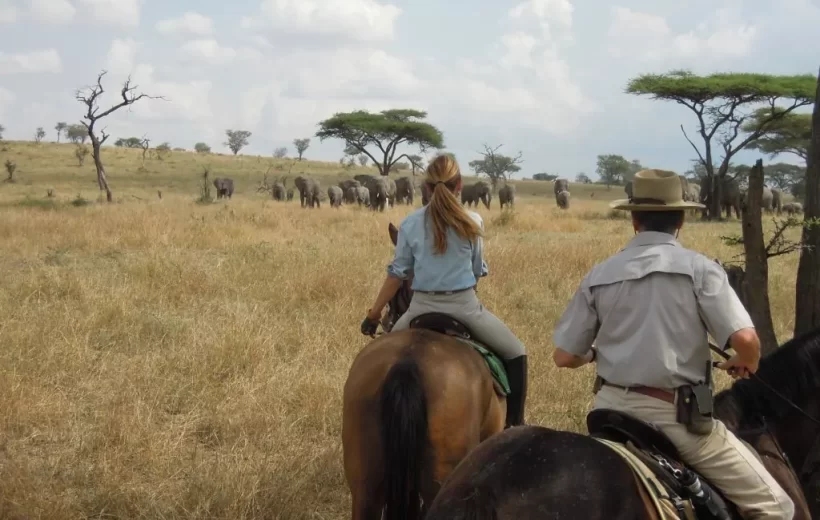 Horseback Safaris & Endless Views: Ol Donyo’s Premium Paradise