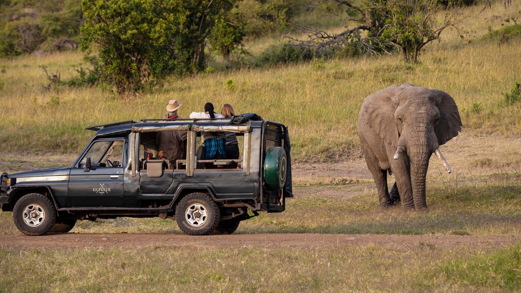 Kicheche Bush Camp Mara Eco Tour - Bountiful Safaris