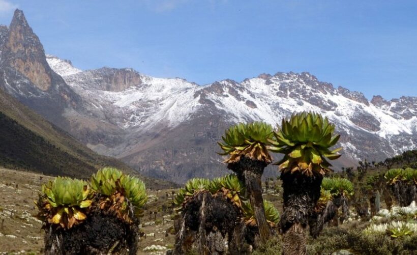 4 Days, 3 Nights Mount Kenya Climbing: Sirimon Down Sirimon
