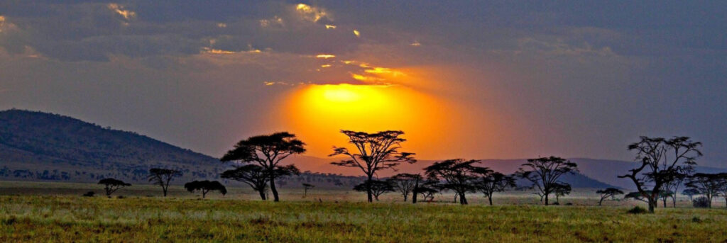 Kajiado Archives - Bountiful Safaris