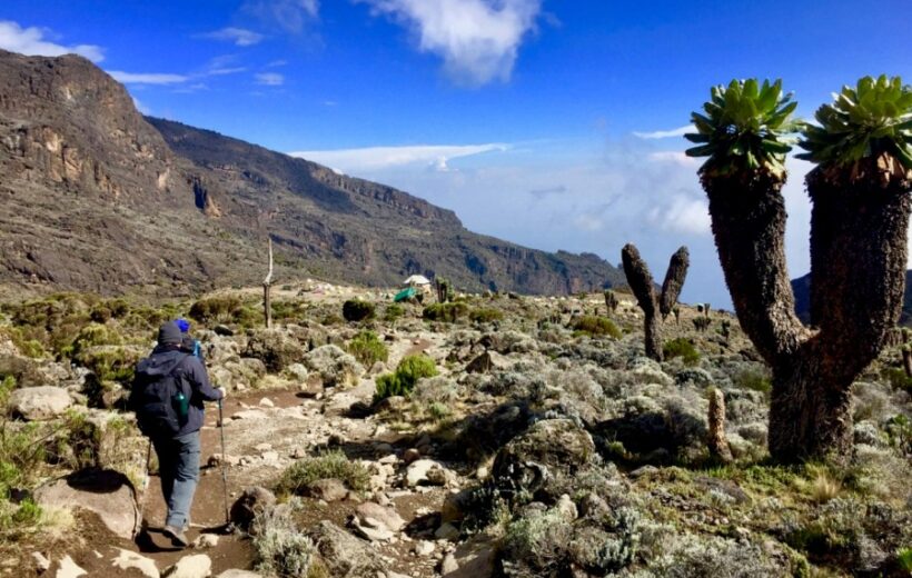 7 Days Mt Kilimanjaro Climbing: Machame (Whiskey Route)