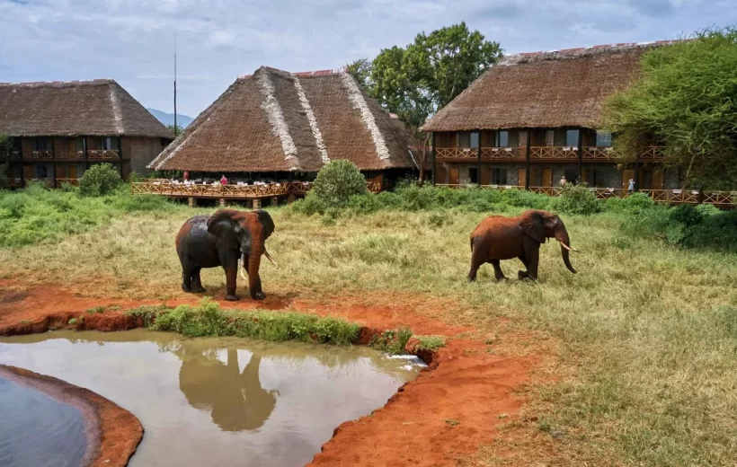 Ngutuni Lodge