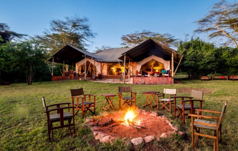 Instinct of the Mara